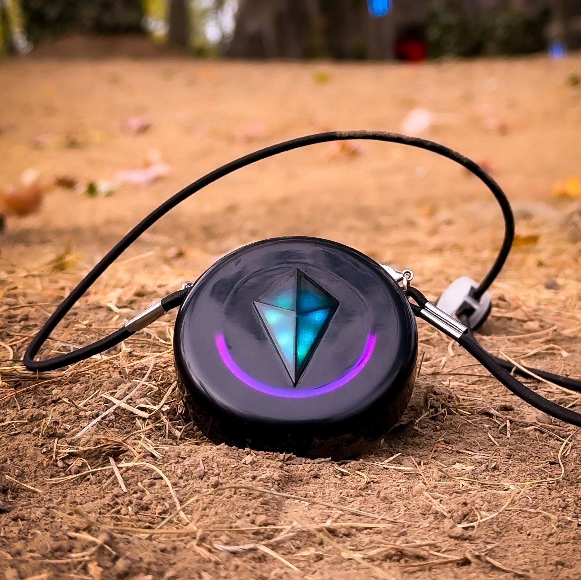 Totem Tuesday: September 24th, 2024