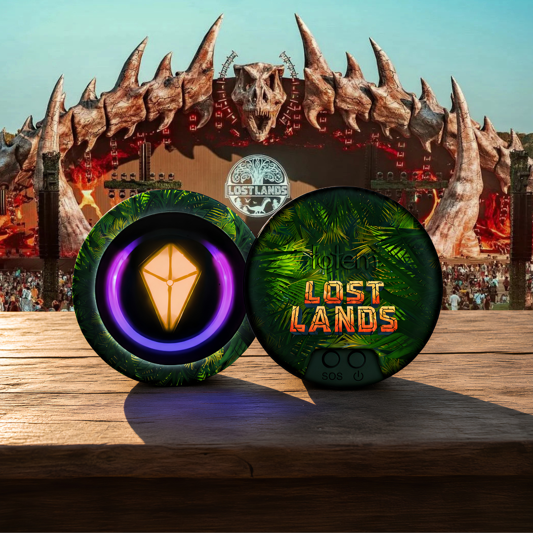 Limited Edition Lost Lands Skins