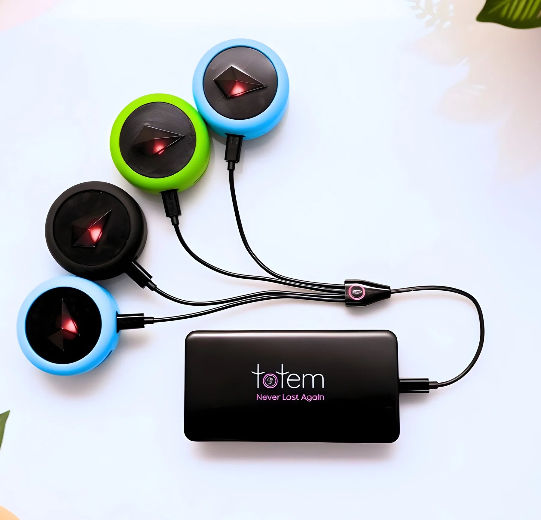 Totem 4-Pack Bundle